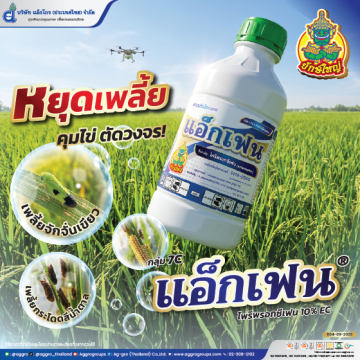 แอ็กเฟน